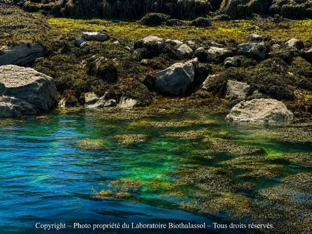 La science du vivant - nutrition marine proposée par le laboratoire Biothalassol en Normandie Paysage côtier