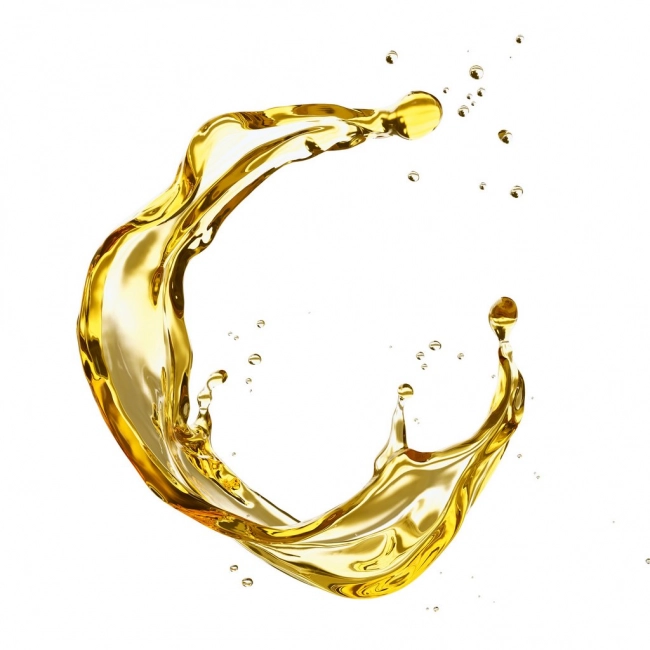 Calanus : tout savoir sur ce petit crustacé riche en nutriments