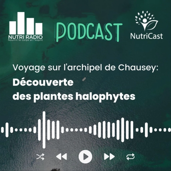 Voyage sur l’archipel de Chausey: Découverte des plantes halophytes