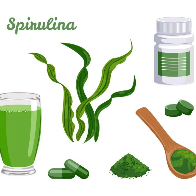 Spiruline : quels bienfaits sur la fatigue et l'immunité au quotidien ?