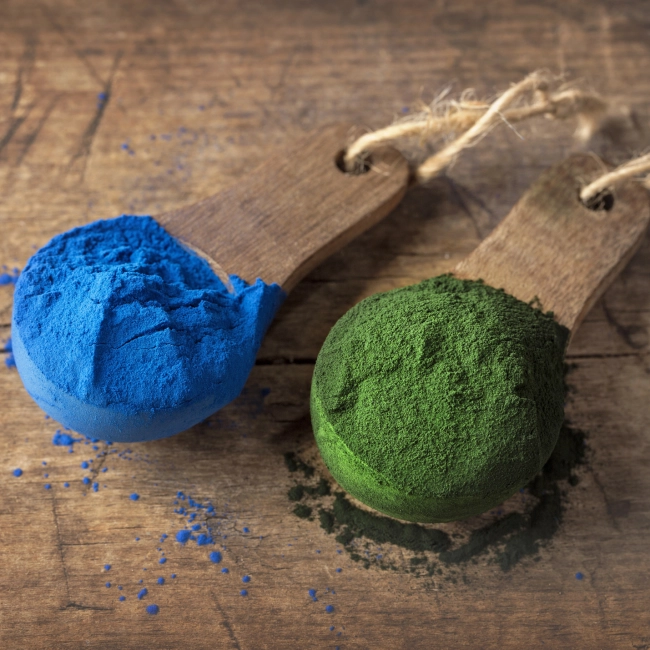 Phycocyanine : quels sont ses bienfaits ?