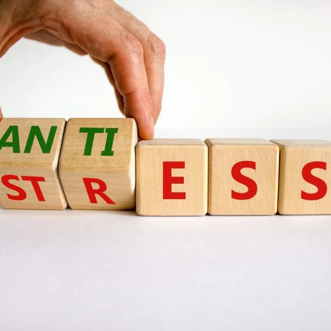 Antistress naturels : Comment mieux gérer notre stress au quotidien ?