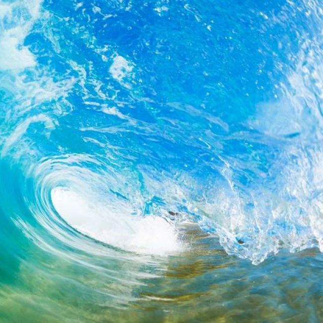 Plasma d’eau de mer bienfaits Plasma d’eau de mer bienfaits