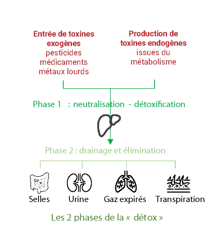  - Compléments Alimentaires Marins