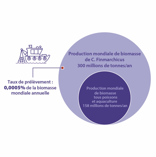 - Compléments Alimentaires Marins - Compléments Alimentaires Marins