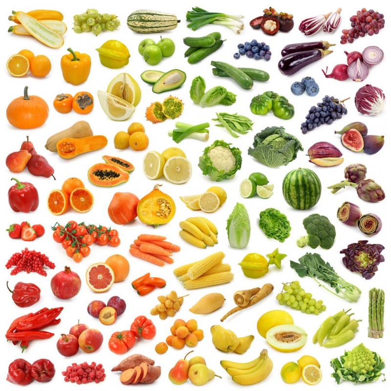Approche holistique de la crise hémorroïdaire - Compléments Alimentaires Marins Approche holistique de la crise hémorroïdaire