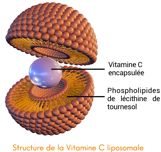  - Compléments Alimentaires Marins