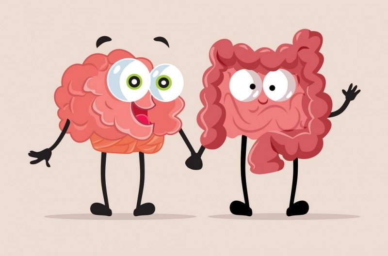 Quels sont les ennemis du microbiote intestinal ?