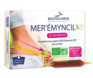 Image MER'ÉMYNCIL V2