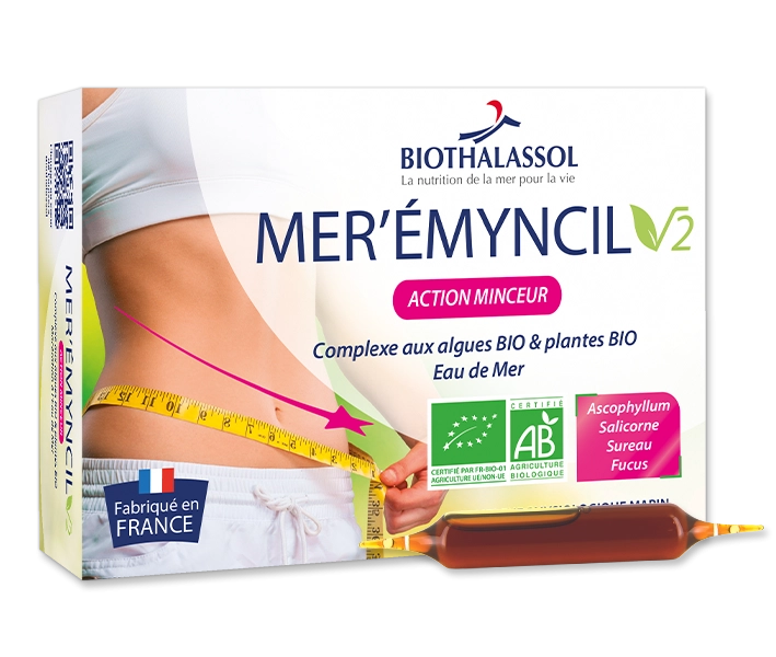 Image MER'ÉMYNCIL V2