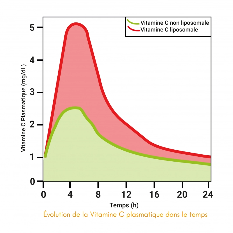 Cette supériorité d’absorption est illustrée par l’étude comparative ci-dessous :