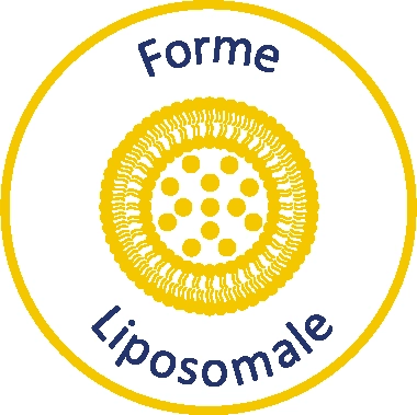 Image Vit'sea forme Liposomale 