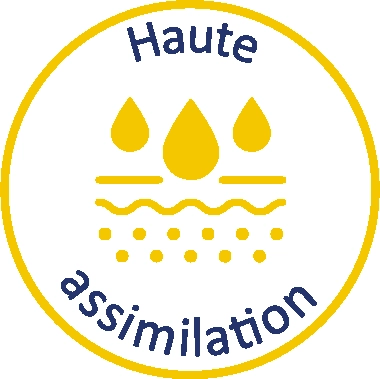 Image Vit'sea haute assimilation