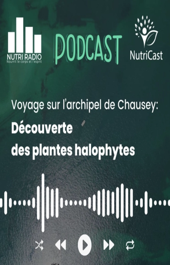 Image Voyage sur l’archipel de Chausey: Découverte des plantes halophytes