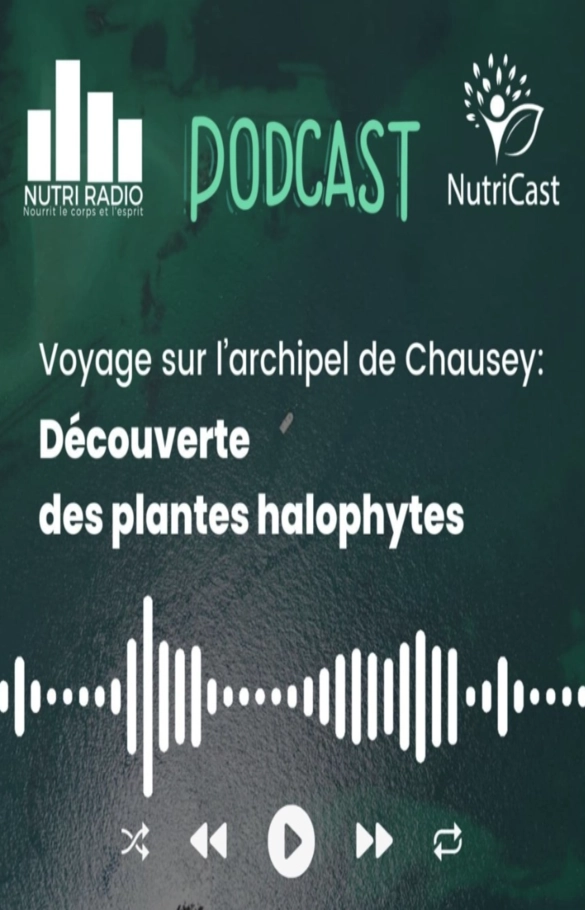 Voyage sur l’archipel de Chausey: Découverte des plantes halophytes - laboratoire de biologie marine détox en France Image Voyage sur l’archipel de Chausey: Découverte des plantes halophytes